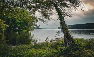 Nicholas's photo of a dispersed camping area at Bi-Color Campground (Catoosa WMA) near Oneida, TN