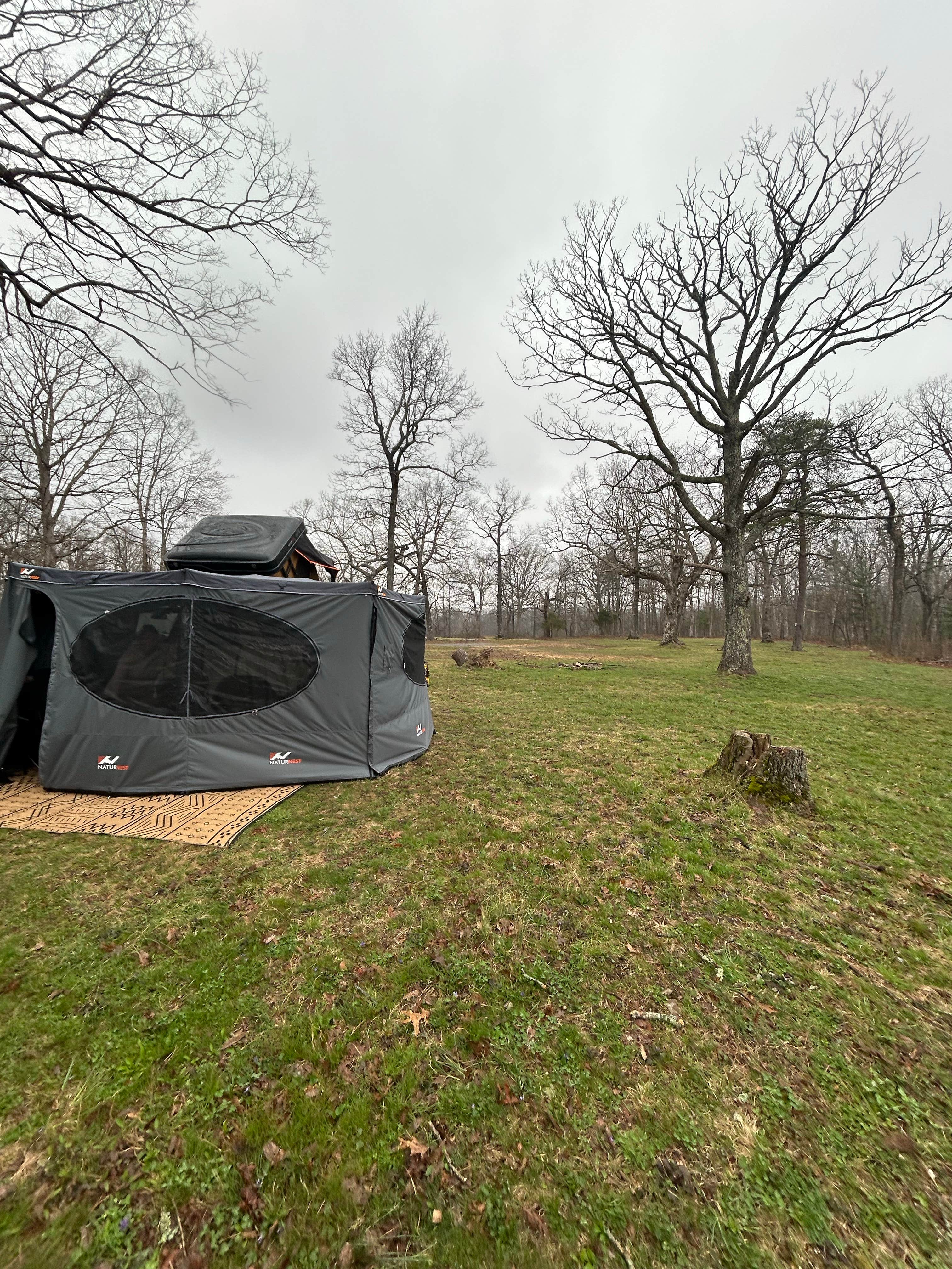 Camper-submitted photo at Bi-Color Campground (Catoosa WMA) near Harriman, TN
