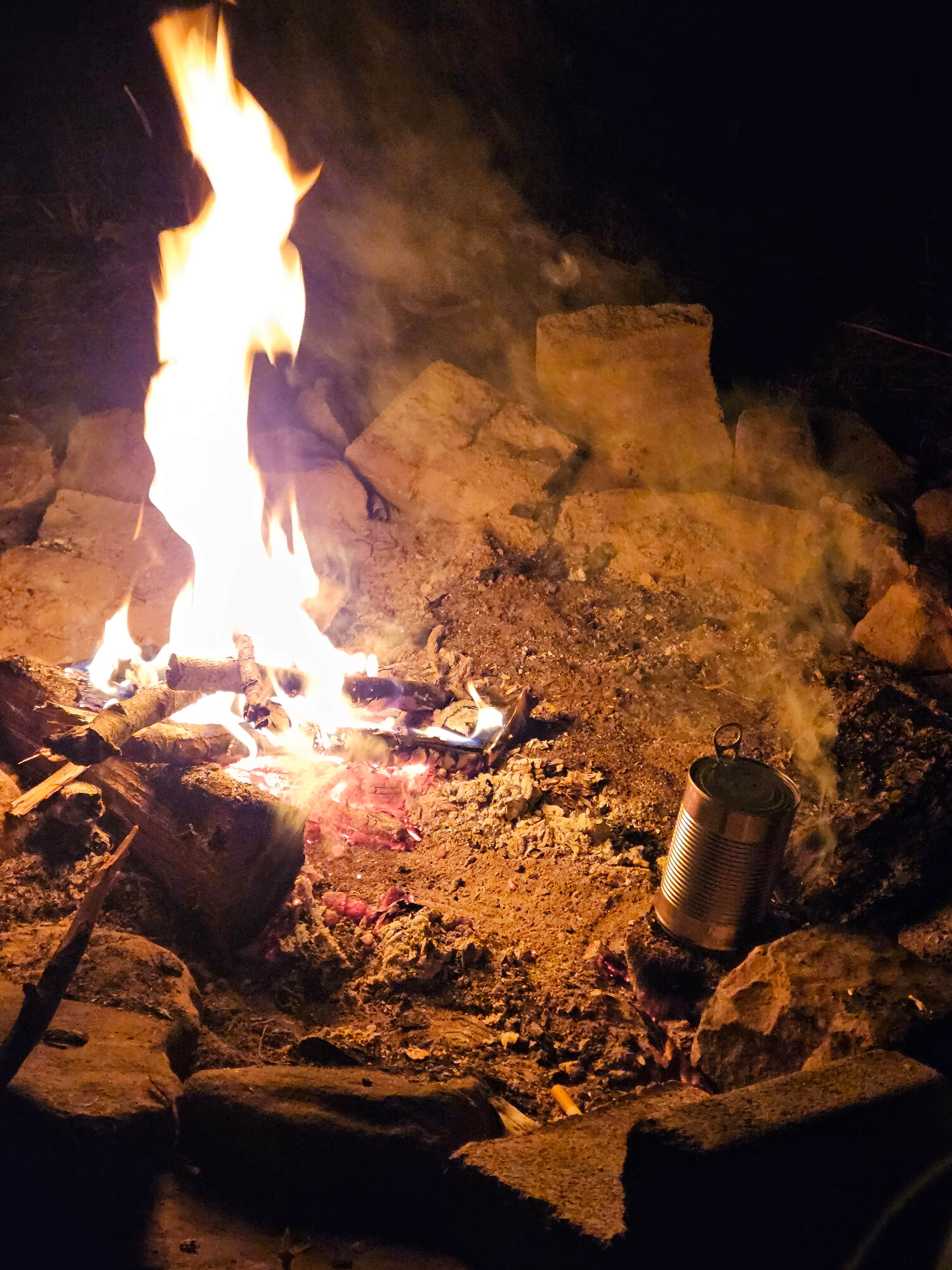 Camper-submitted photo at Bi-Color Campground (Catoosa WMA) near Harriman, TN