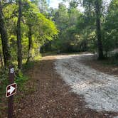 Review photo of Big Bass Campground - Ocala National Forest by Susan C., April 5, 2026