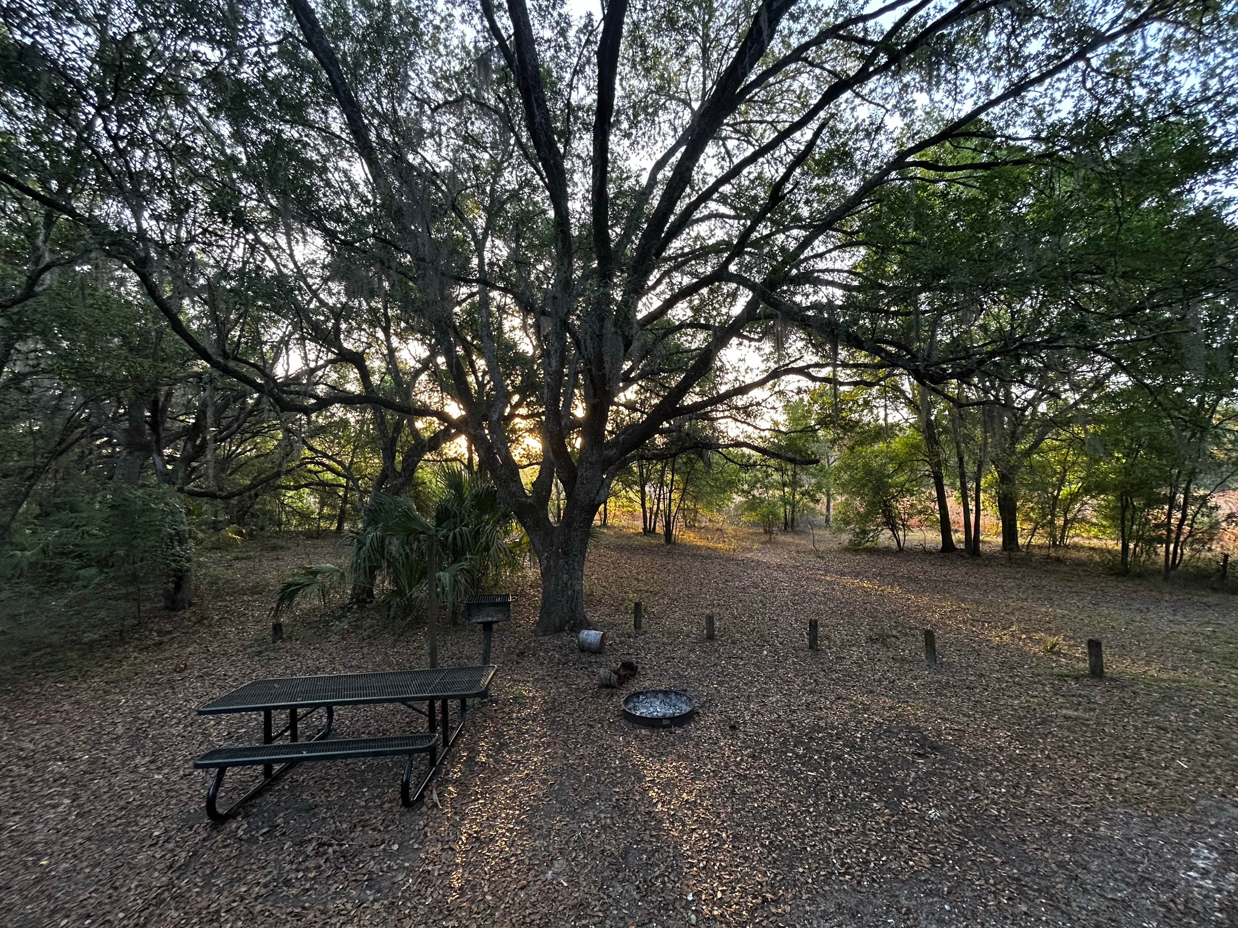 Facilities