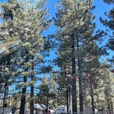 Review photo of Big Bear Recreation by Lexi W., February 9, 2024