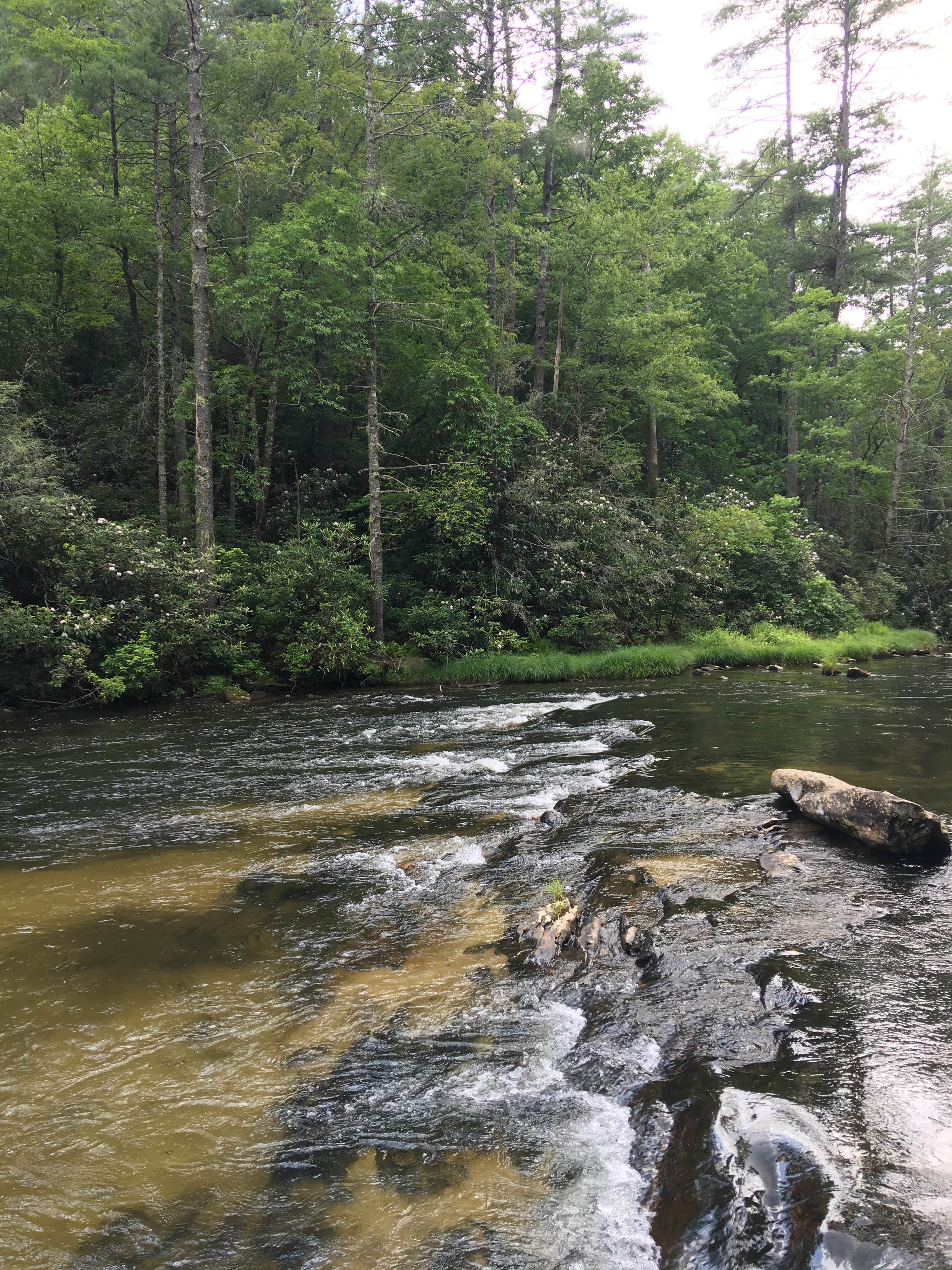 Camper-submitted photo at Big Bend near Highlands, NC
