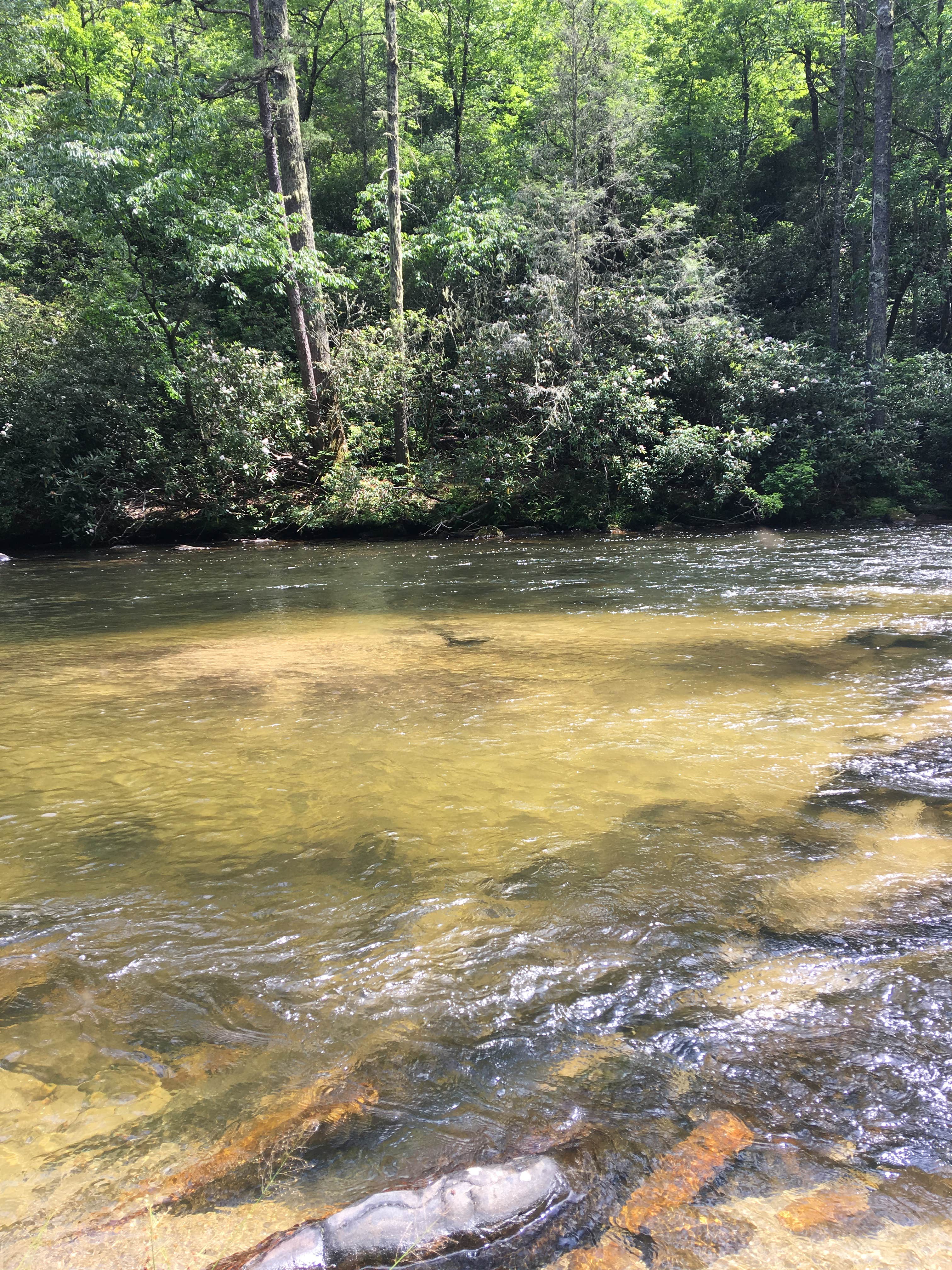 Camping near West Fork Campground (Clayton, Ga) — Chattahoochee Oconee National Forest: Big Bend, Tamassee, Georgia