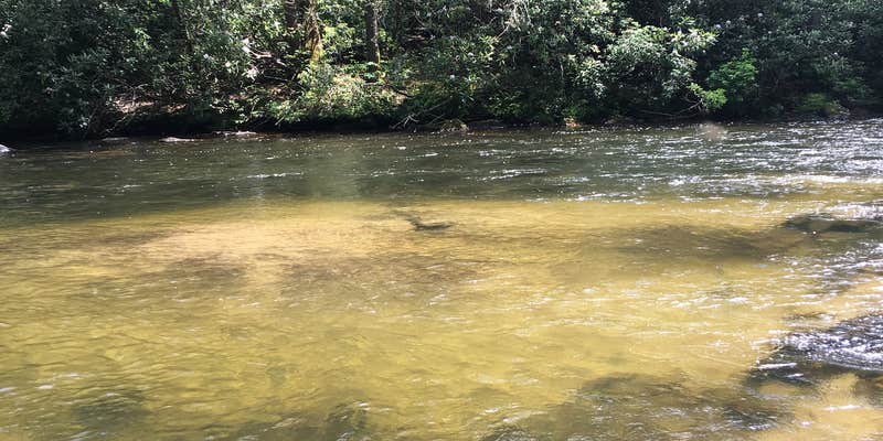 Camper submitted image from Big Bend