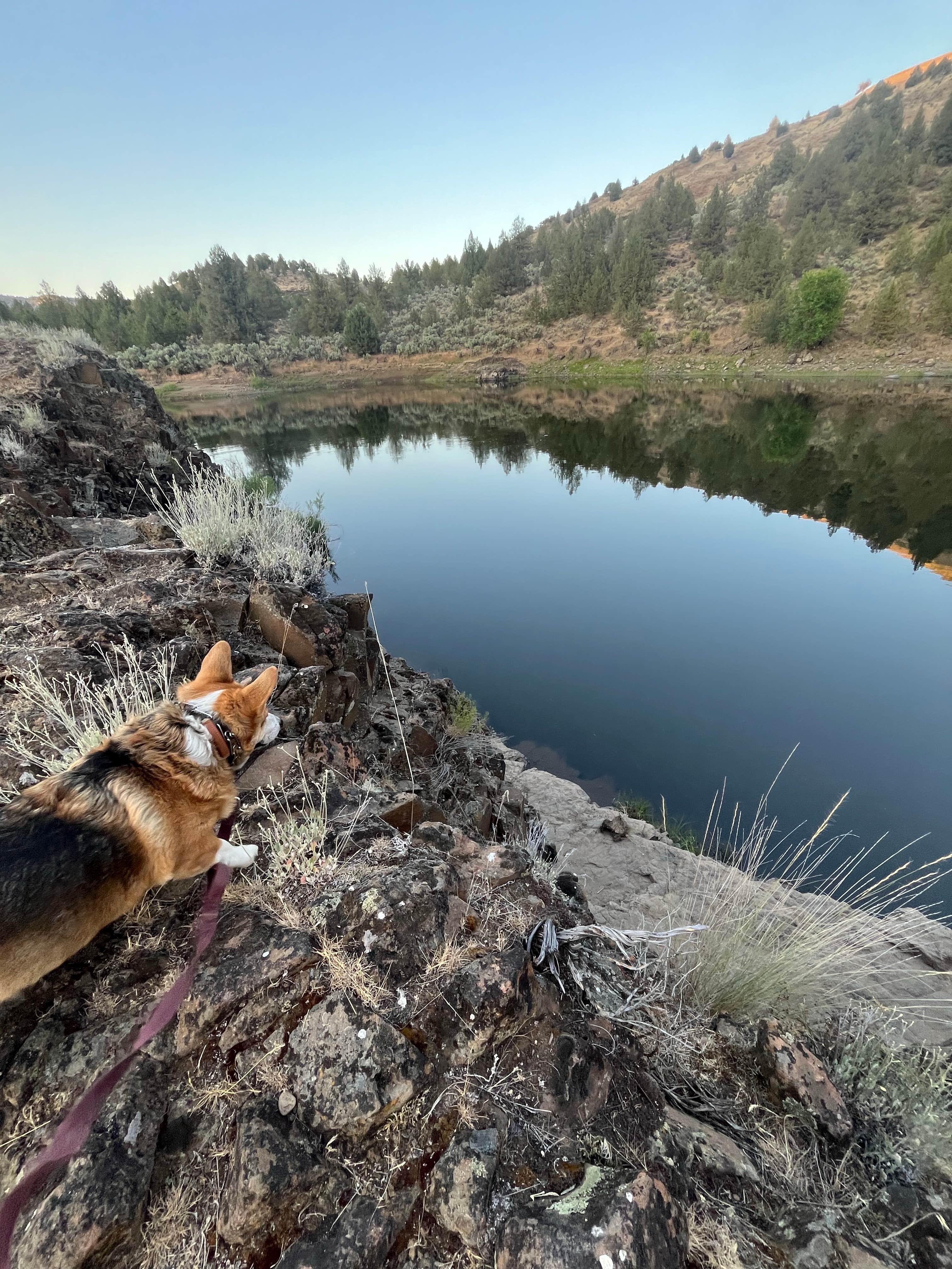 Camper submitted image from Big Bend Campground - 2