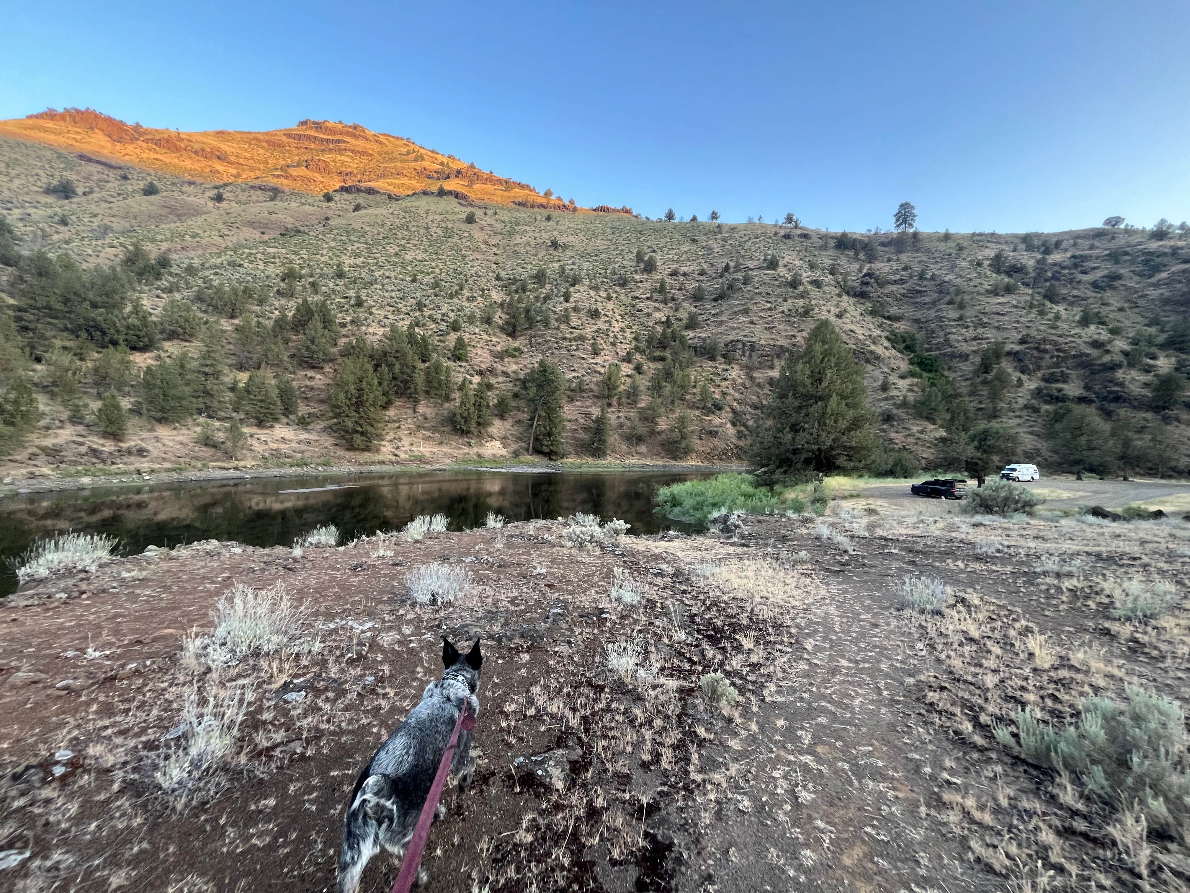 Camper submitted image from Big Bend Campground - 4