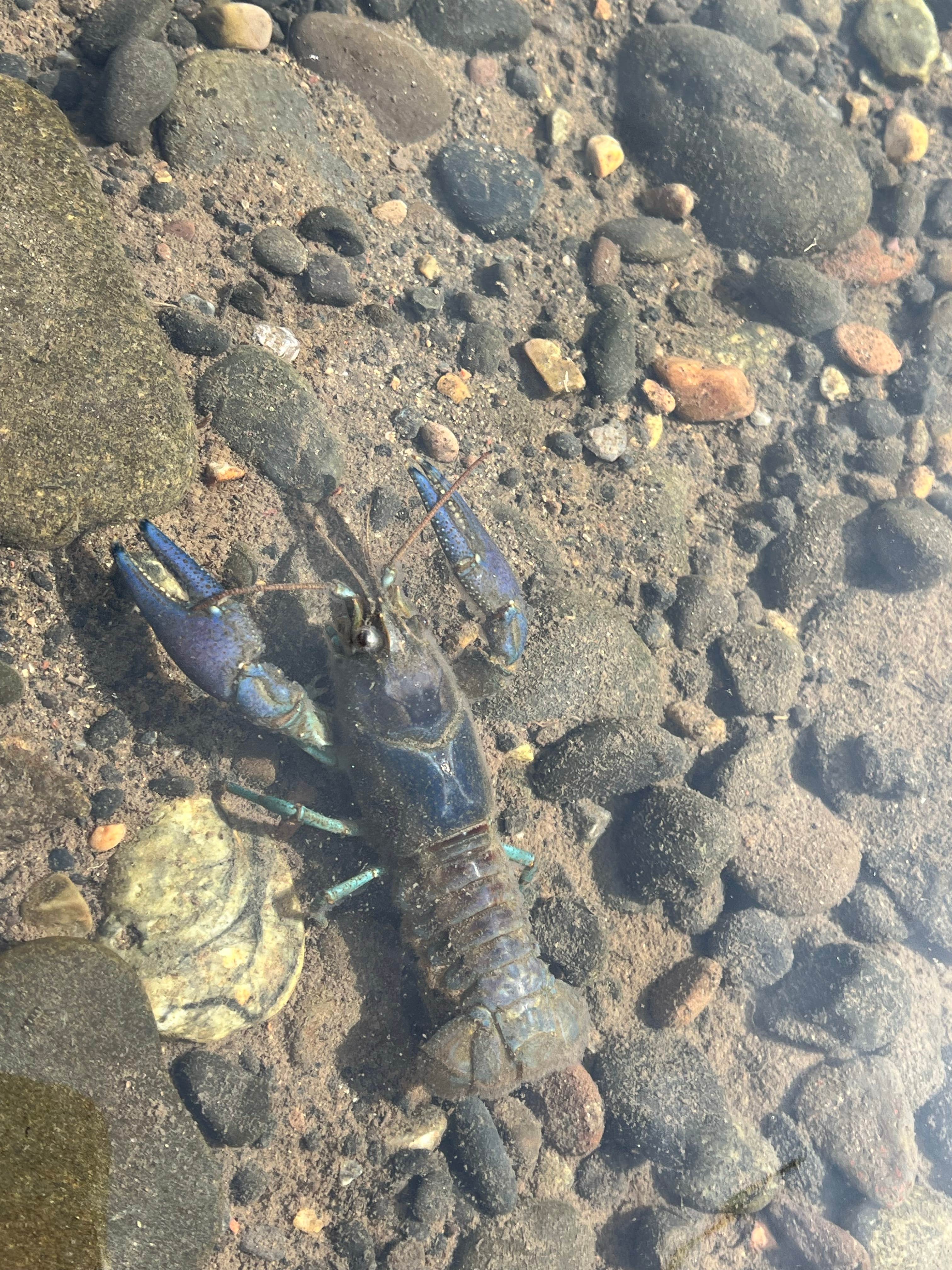 Camper-submitted photo at Big Bend Campground near Kimberly, OR