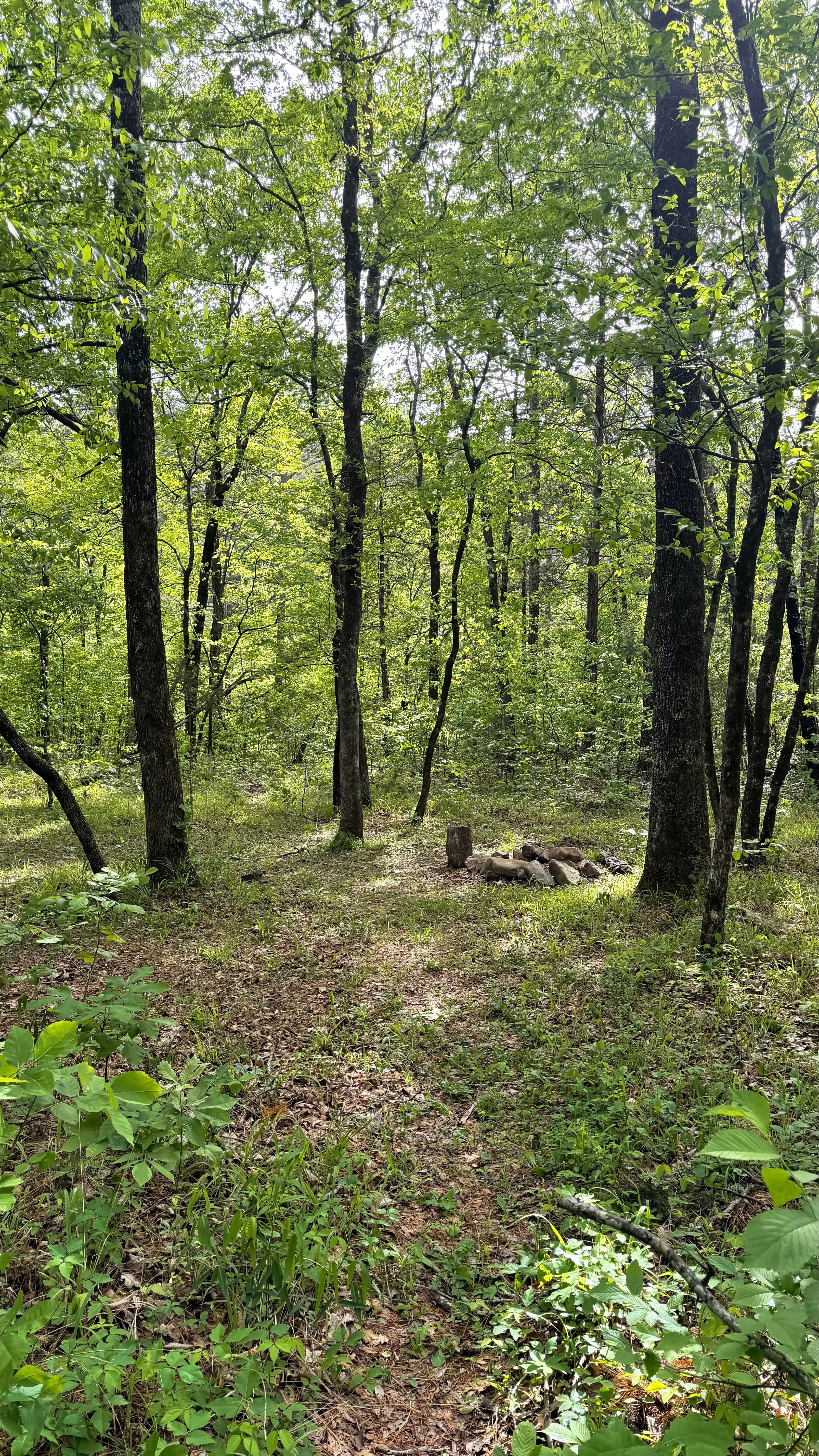 Camping near Holson Valley Vista: Big Cedar Trailhead, Big Cedar, Oklahoma