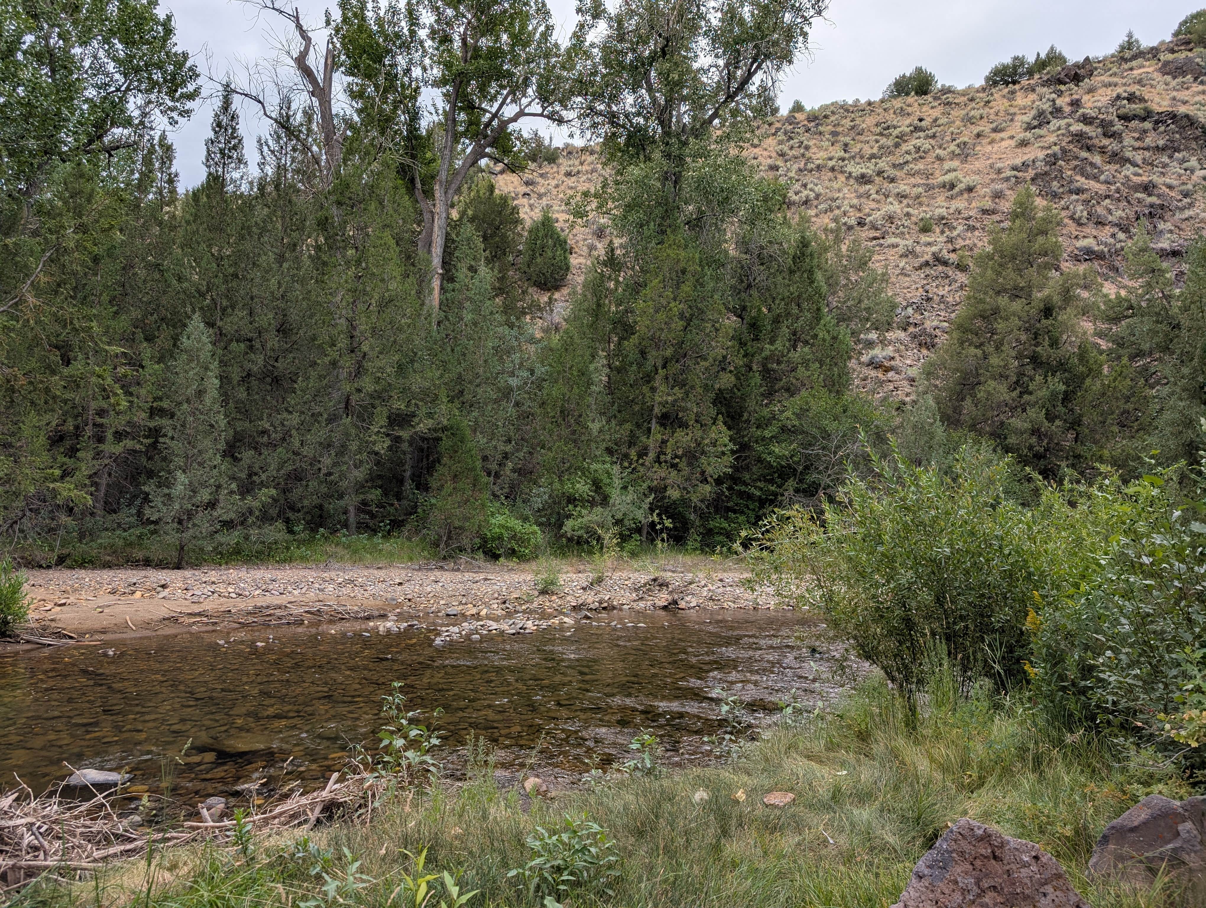 Camping near Jarbidge: Big Cottonwood Campground, Murphy Hot Springs, Idaho