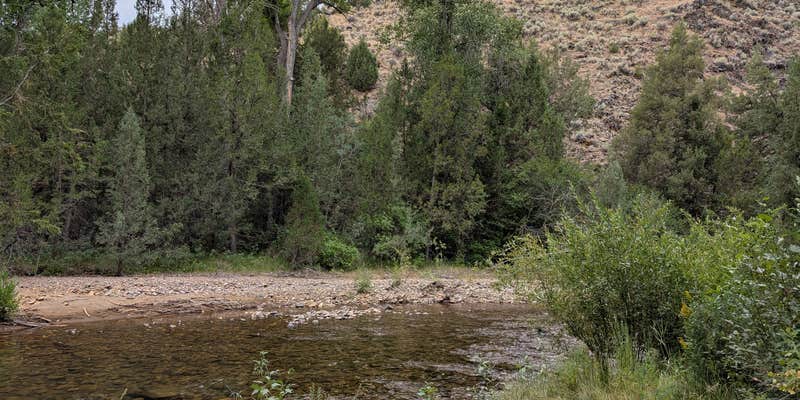 Camper submitted image from Big Cottonwood Campground