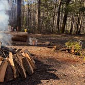 Review photo of Big Creek Primitive Camping Area by Amber W., February 10, 2026