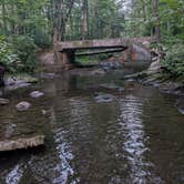 Review photo of Big Creek Primitive Camping Area by Bonnie M., July 27, 2026