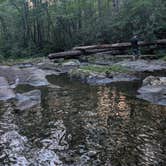 Review photo of Big Creek Primitive Camping Area by Bonnie M., July 27, 2026