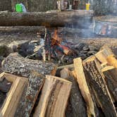 Review photo of Big Creek Primitive Camping Area by Amber W., February 10, 2026