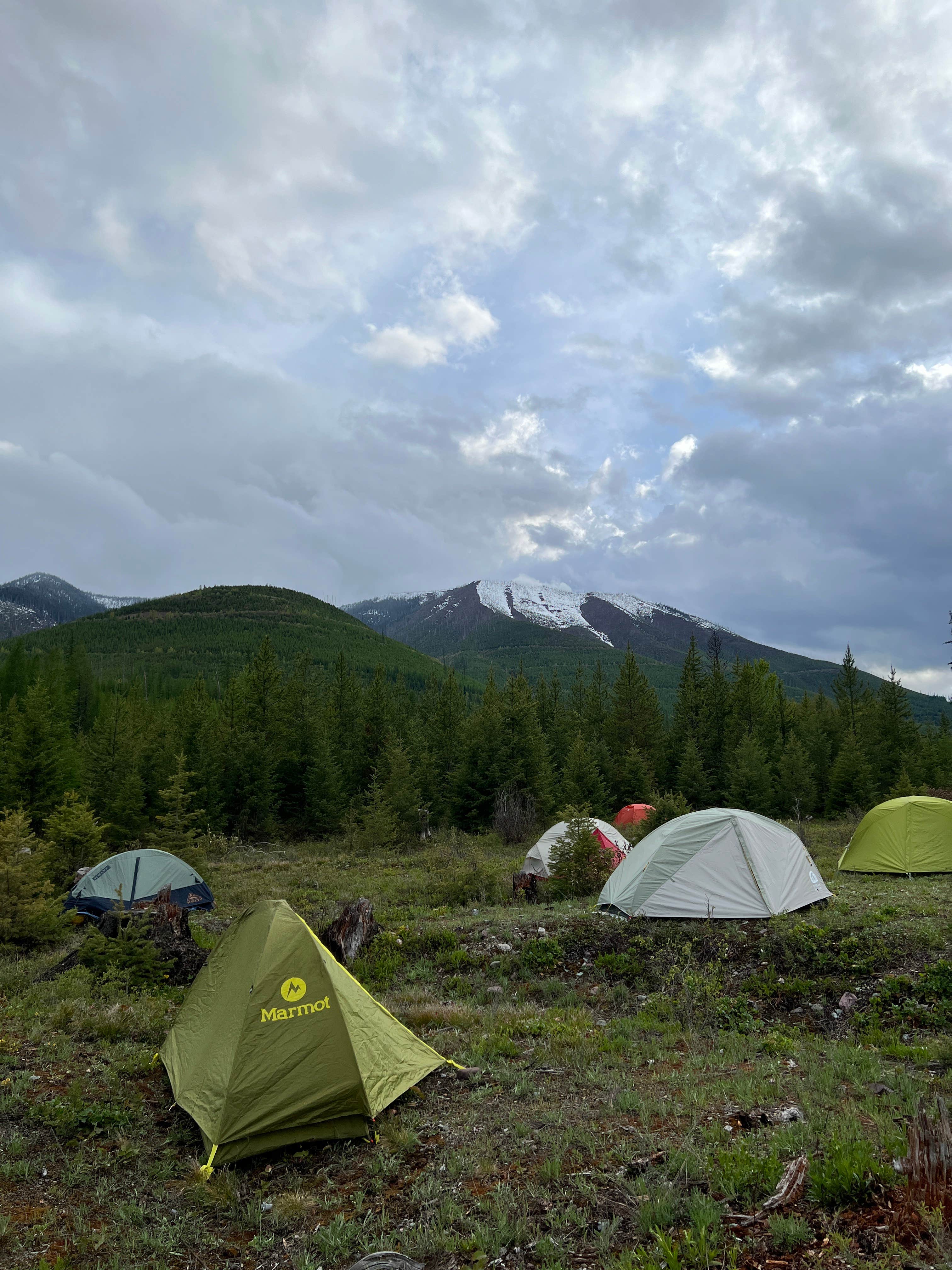 Camper-submitted photo at Big Creek Road near West Glacier, MT