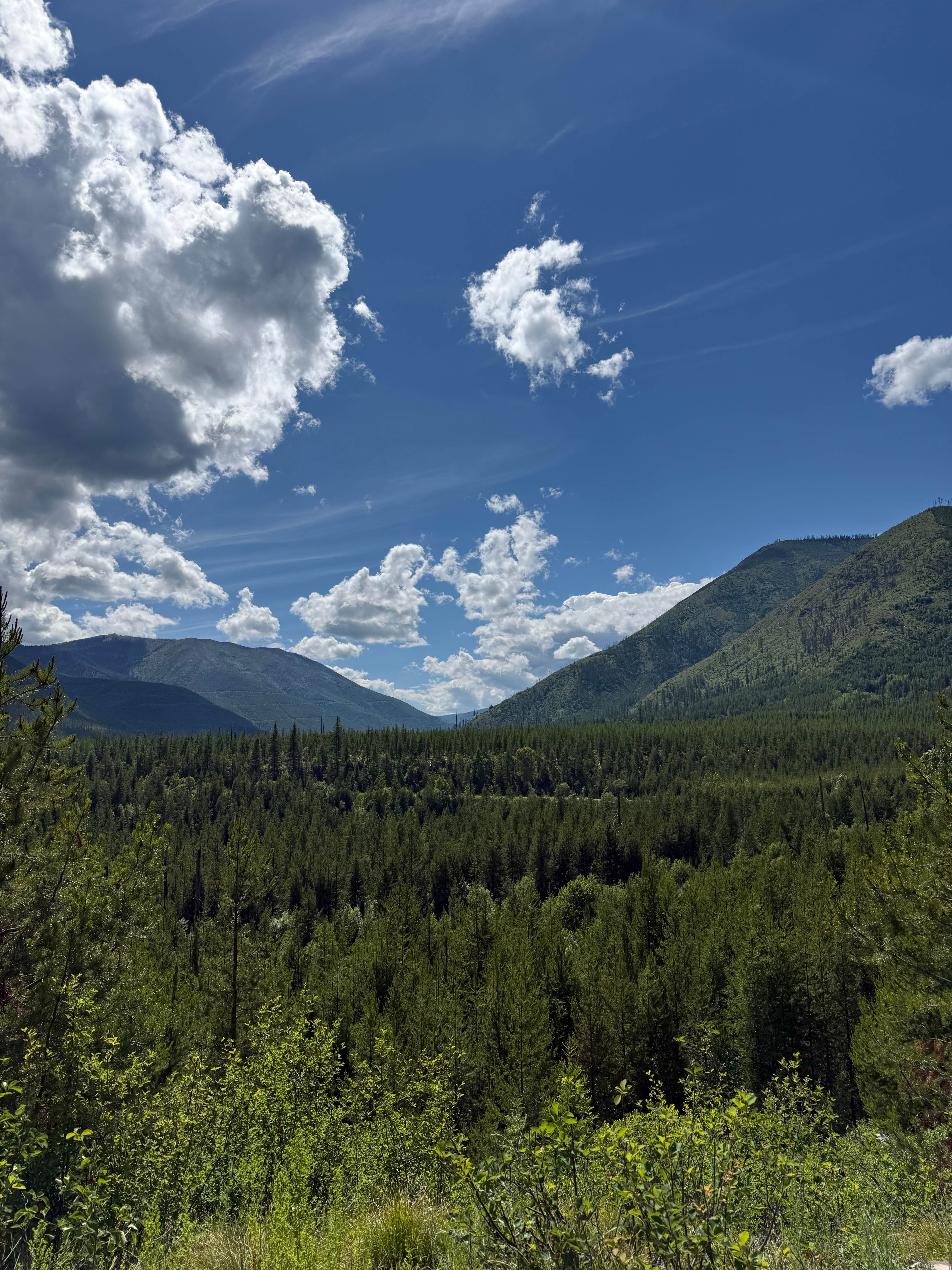 Camper-submitted photo at Big Creek Road near Polebridge, MT