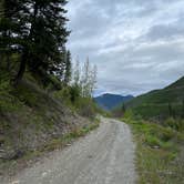 Review photo of Big Creek Road by Haley L., June 12, 2024