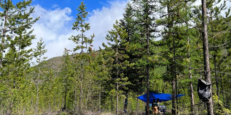 Camper submitted image from Big Creek Road