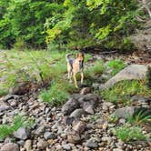 Review photo of Big Eddy Cabins & Campground by A M., September 18, 2023