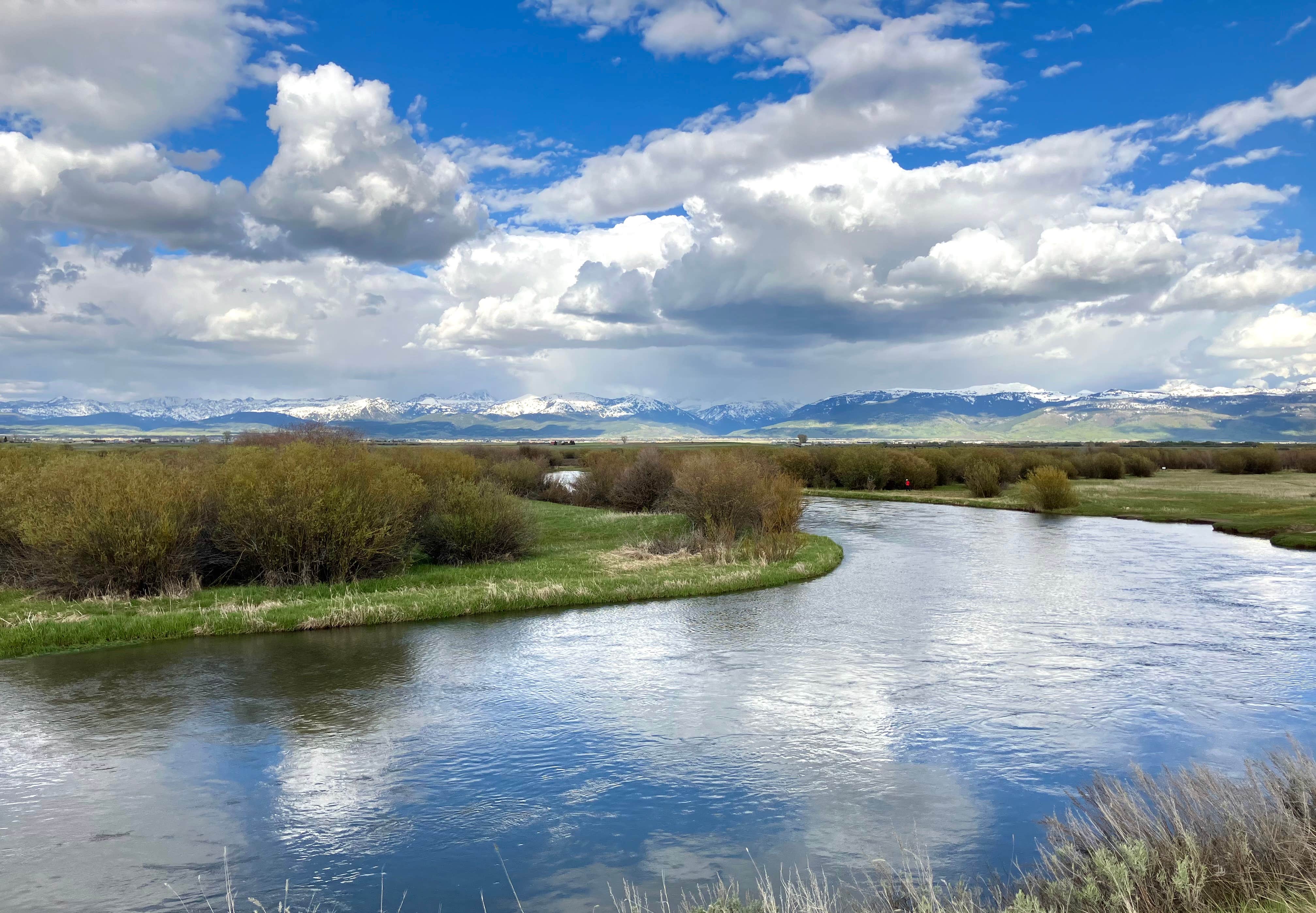 Camper-submitted photo at Big Eddy Dispersed Camping near Tetonia, ID