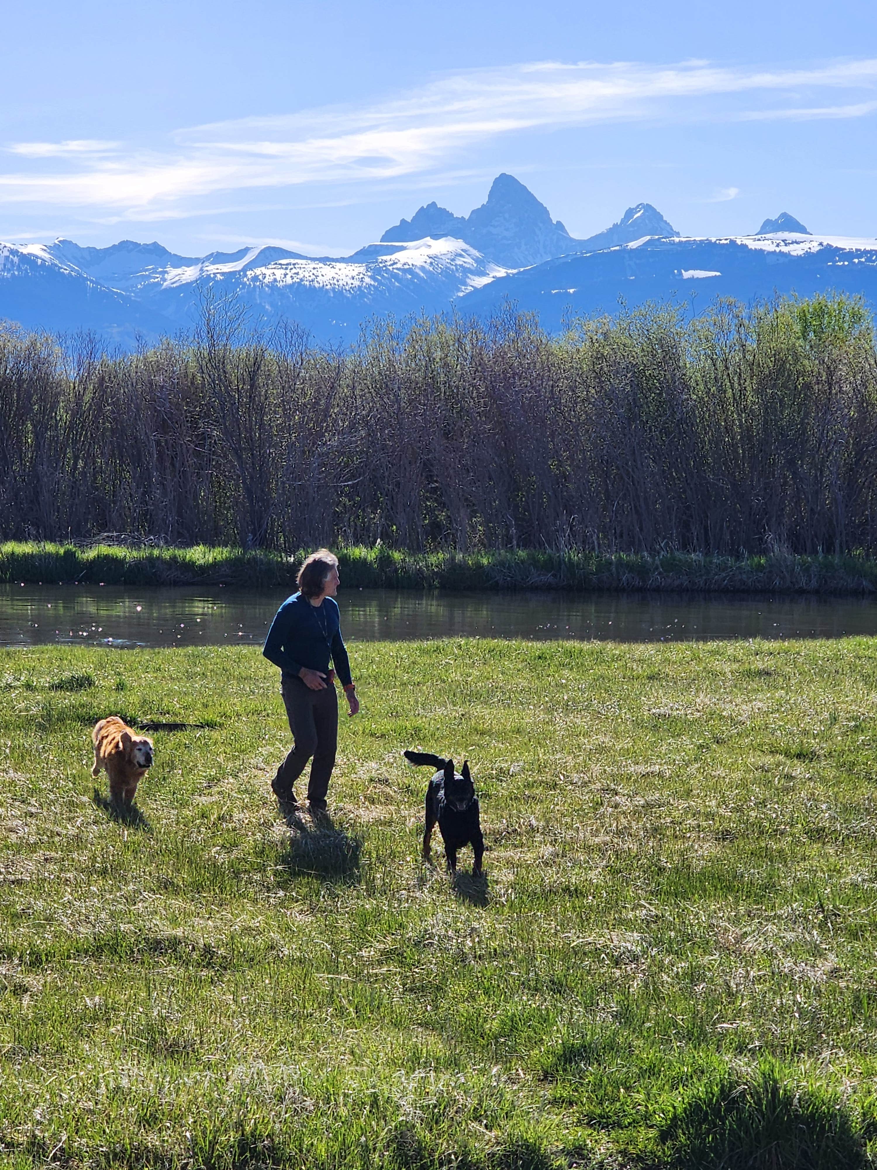 Dolly L.'s photo of camping with pets at Big Eddy/Rainey Campground near Driggs, ID