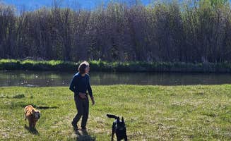 Dolly L.'s photo of camping with pets at Big Eddy/Rainey Campground near Victor, ID