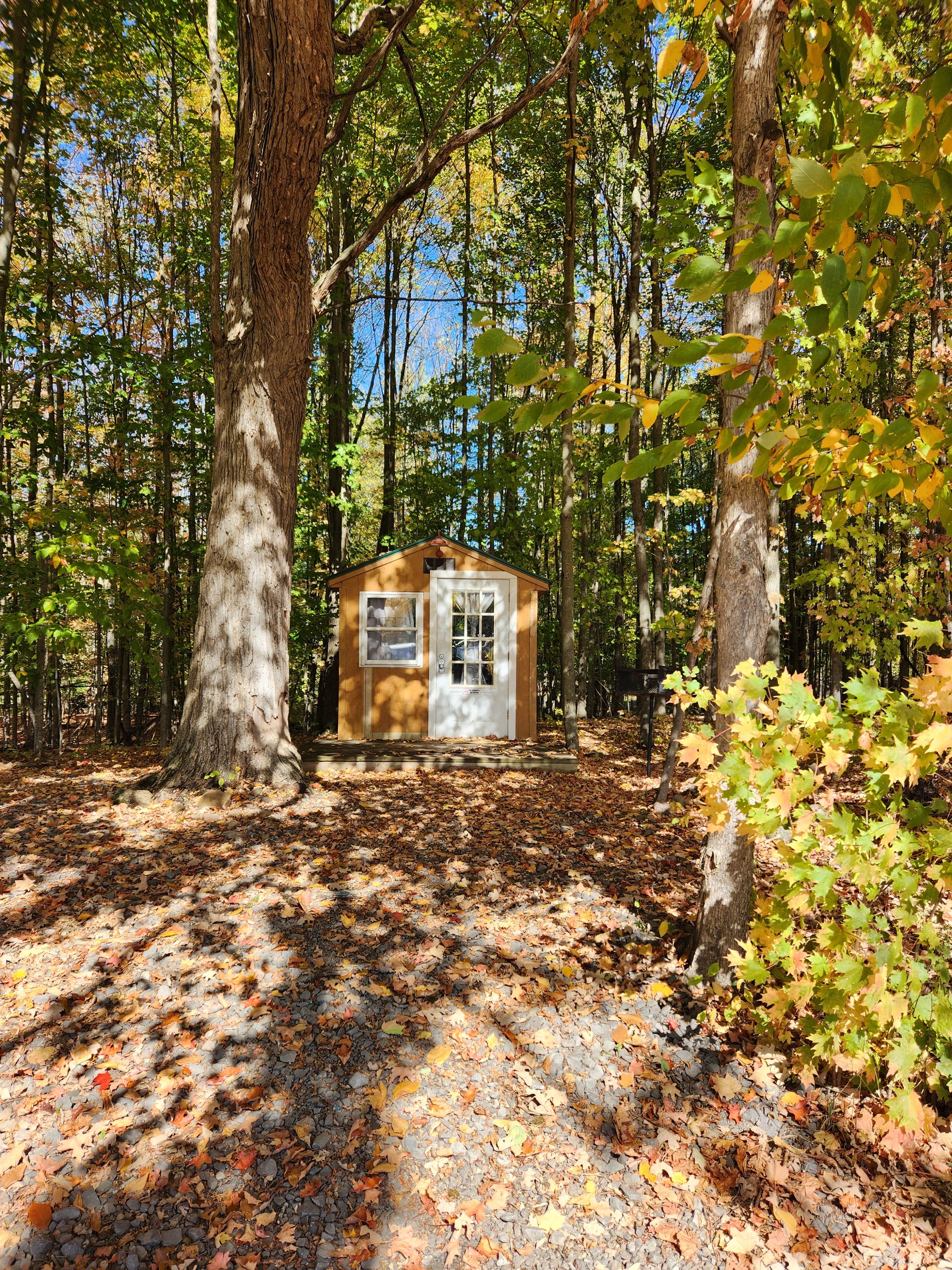 Camper-submitted photo at Big Guys Campground near Adams Basin, NY