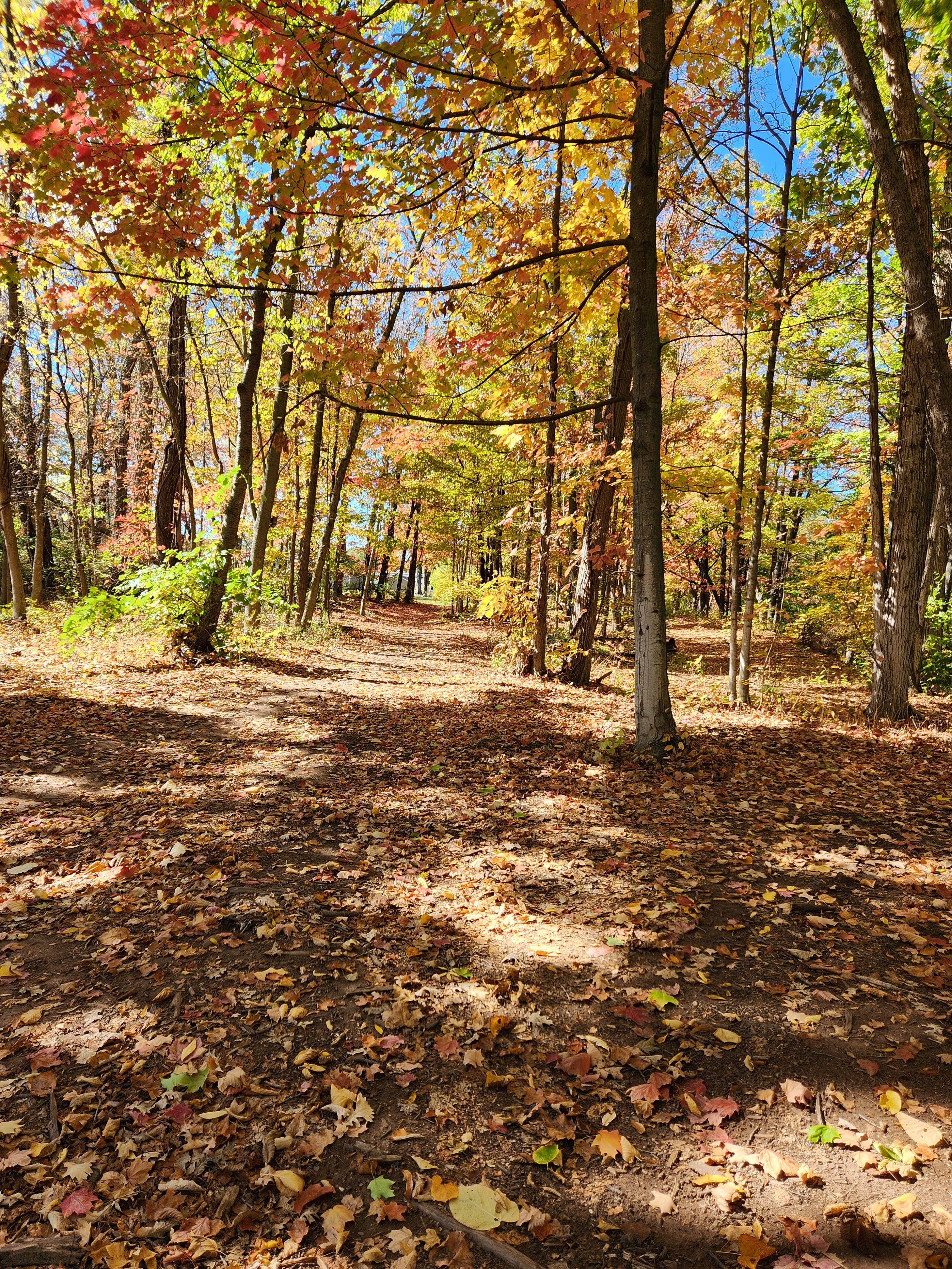 Camper-submitted photo at Big Guys Campground near Adams Basin, NY