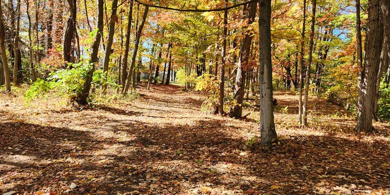 Camper submitted image from Big Guys Campground