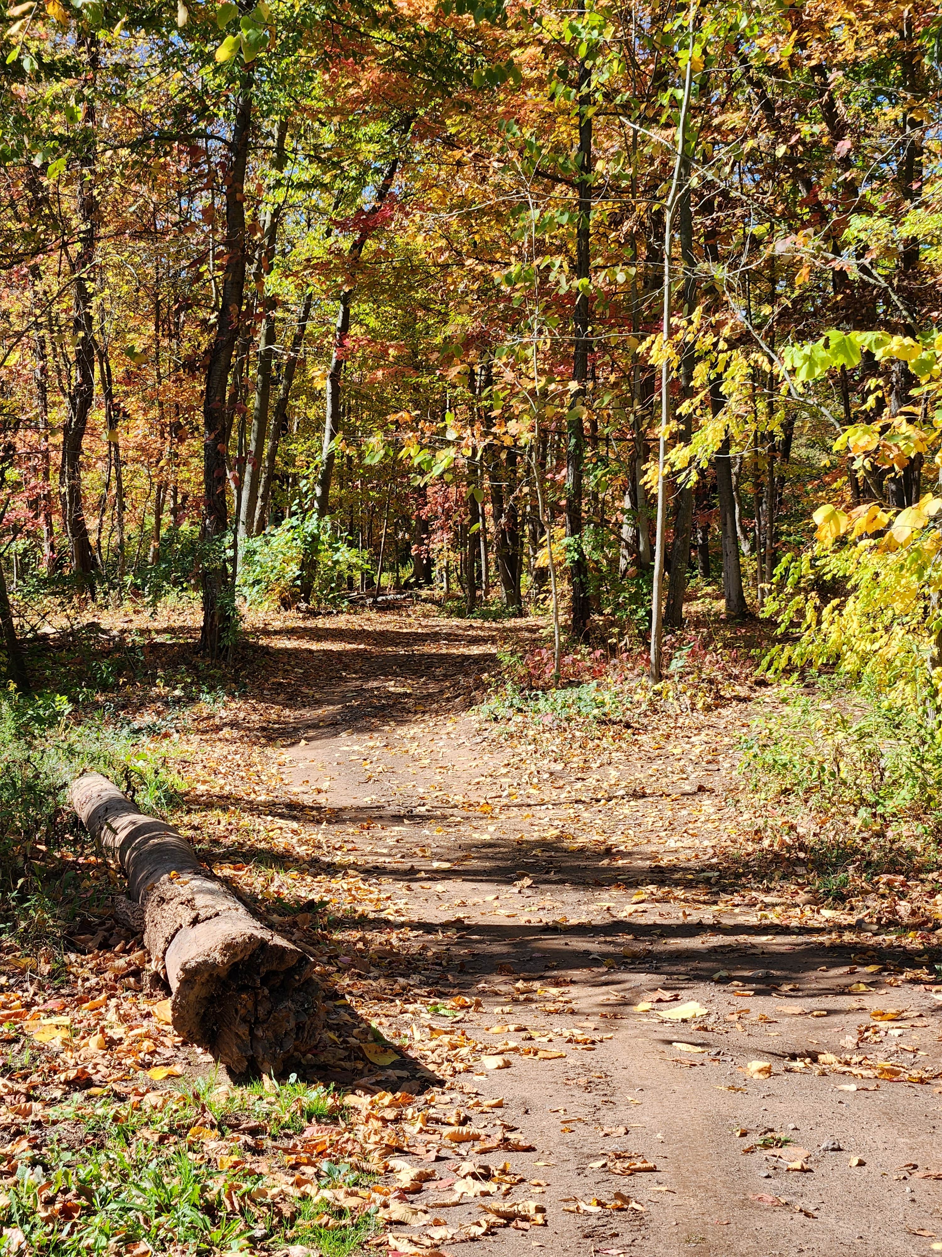 Camper submitted image from Big Guys Campground - 3