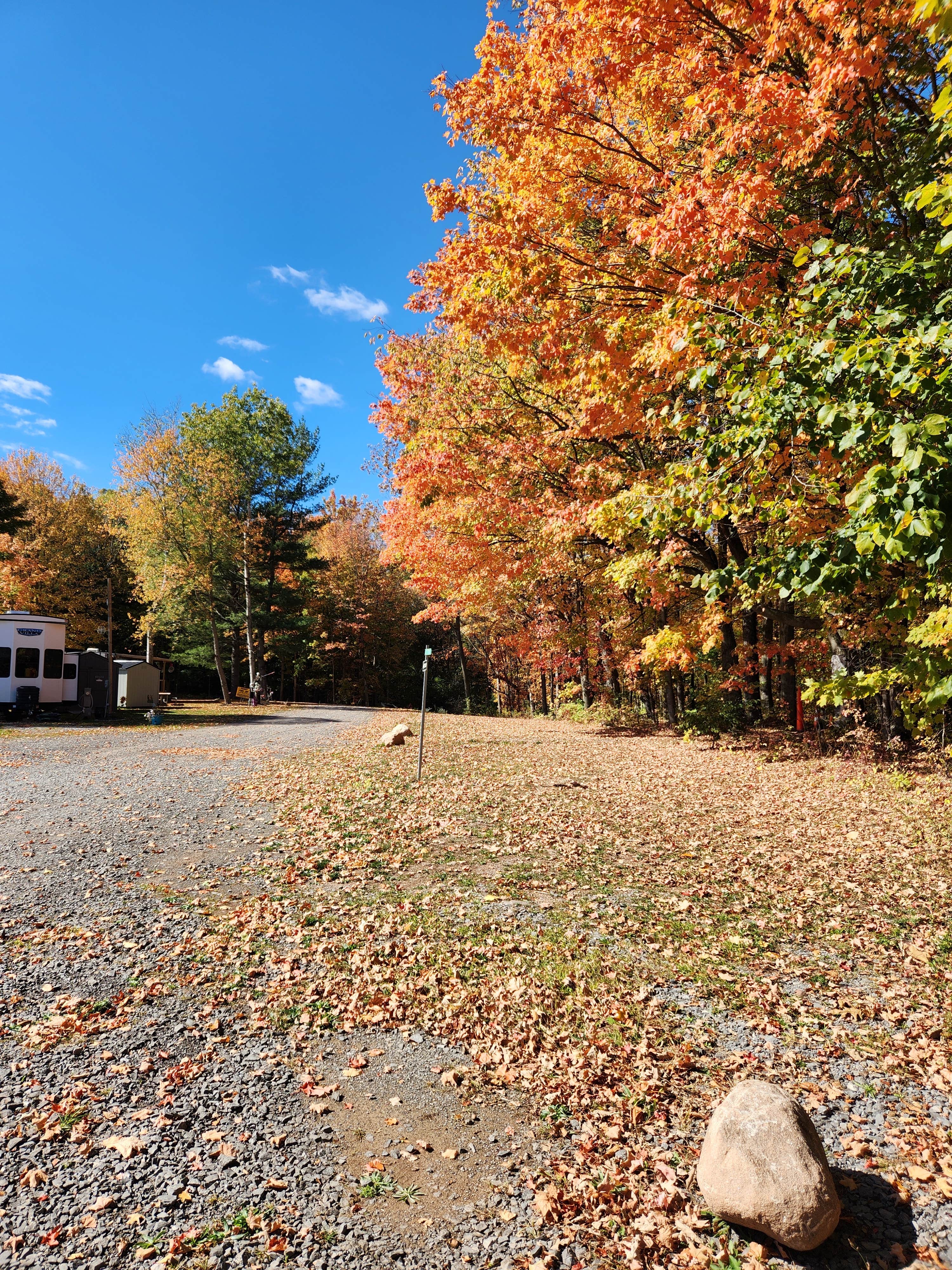 Scott H.'s photo of camping with pets at Big Guys Campground near Hilton, NY
