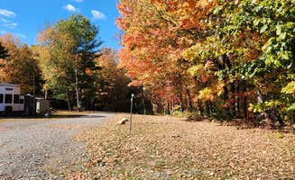 Scott H.'s photo of camping with pets at Big Guys Campground near Darien Center, NY