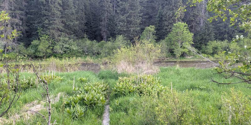 Camper submitted image from big Hanks campground