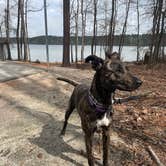 Review photo of Big Hart Campground - J Strom Thurmond Lake by Josey D., March 17, 2025