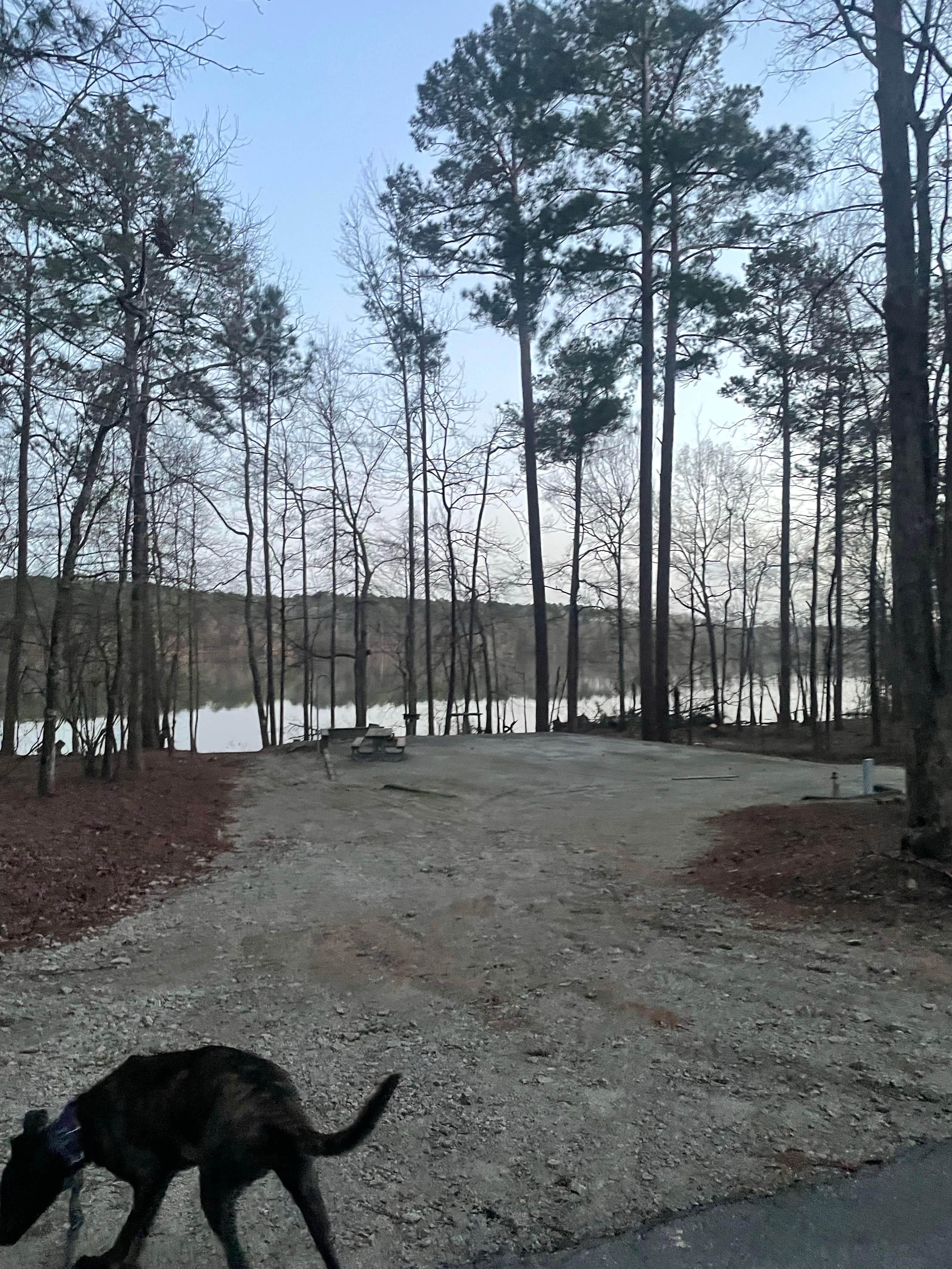 Camper submitted image from Big Hart Campground - J Strom Thurmond Lake - 2