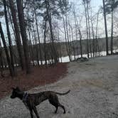 Review photo of Big Hart Campground - J Strom Thurmond Lake by Josey D., March 17, 2025