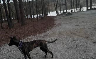 Josey D.'s photo of camping with pets at Big Hart Campground - J Strom Thurmond Lake near J. Strom Thurmond Lake