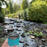 Review photo of Big Indian Wilderness Special Spot by Dominika Z., August 20, 2026