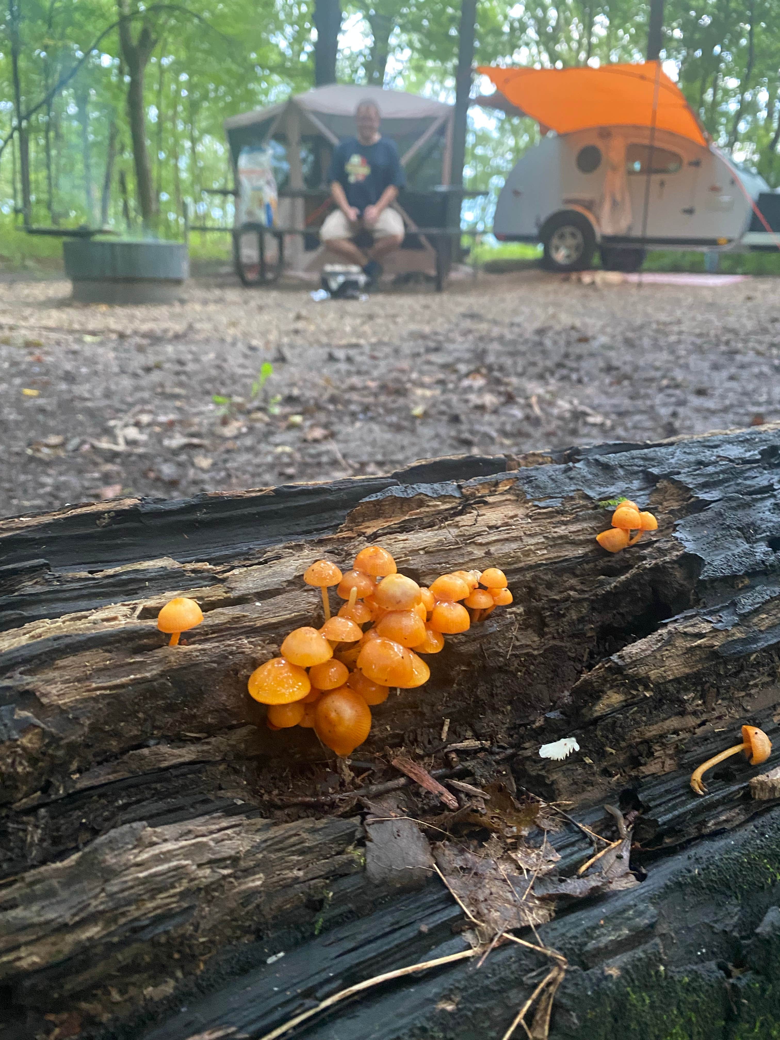 Camper submitted image from Big Island Campground Myre-Big Island State Park - 3