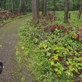 Review photo of Big Island Campground — Myre-Big Island State Park by Shan B., September 26, 2026