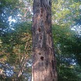 Review photo of Big Island Campground — Myre-Big Island State Park by Crystal R., June 13, 2026