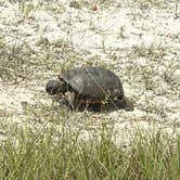 Review photo of Big Lagoon State Park Campground by Christopher M., August 27, 2026