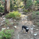 Review photo of Big Meadow Campground - Us Forest Service Sequoia National Forest (CA) by Joseph Z., December 12, 2024