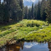 Review photo of Big Meadow Campground - Us Forest Service Sequoia National Forest (CA) by Joseph Z., December 12, 2024