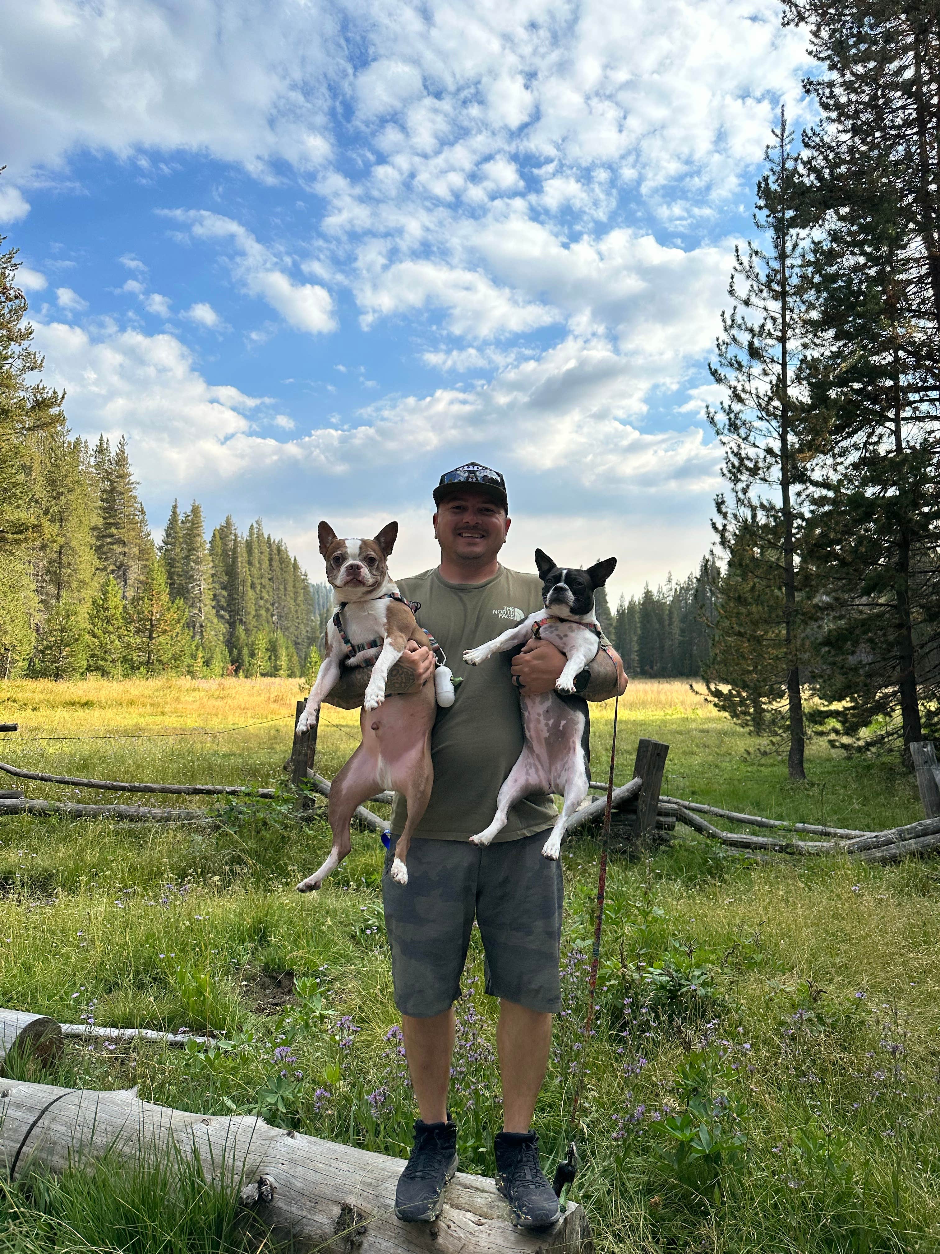 Joseph Z.'s photo of camping with pets at Big Meadow Campground - Us Forest Service Sequoia National Forest (CA) near Hume, CA