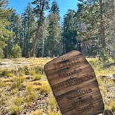 Review photo of Big Meadow Campground - Us Forest Service Sequoia National Forest (CA) by Joseph Z., December 12, 2024