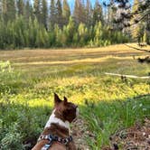 Review photo of Big Meadow Campground - Us Forest Service Sequoia National Forest (CA) by Joseph Z., December 12, 2024