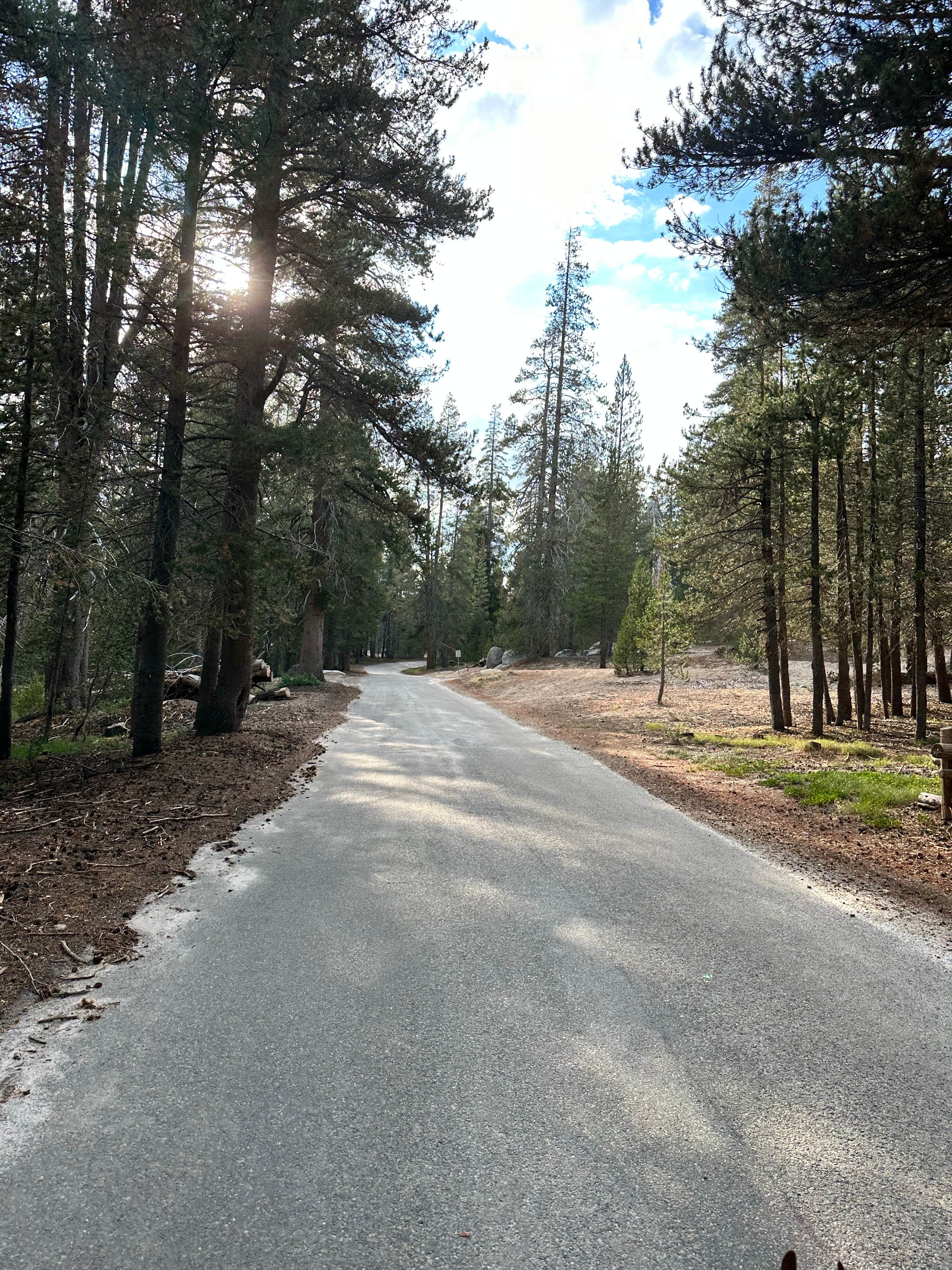 Camper submitted image from Big Meadow Campground - Us Forest Service Sequoia National Forest (CA) - 5