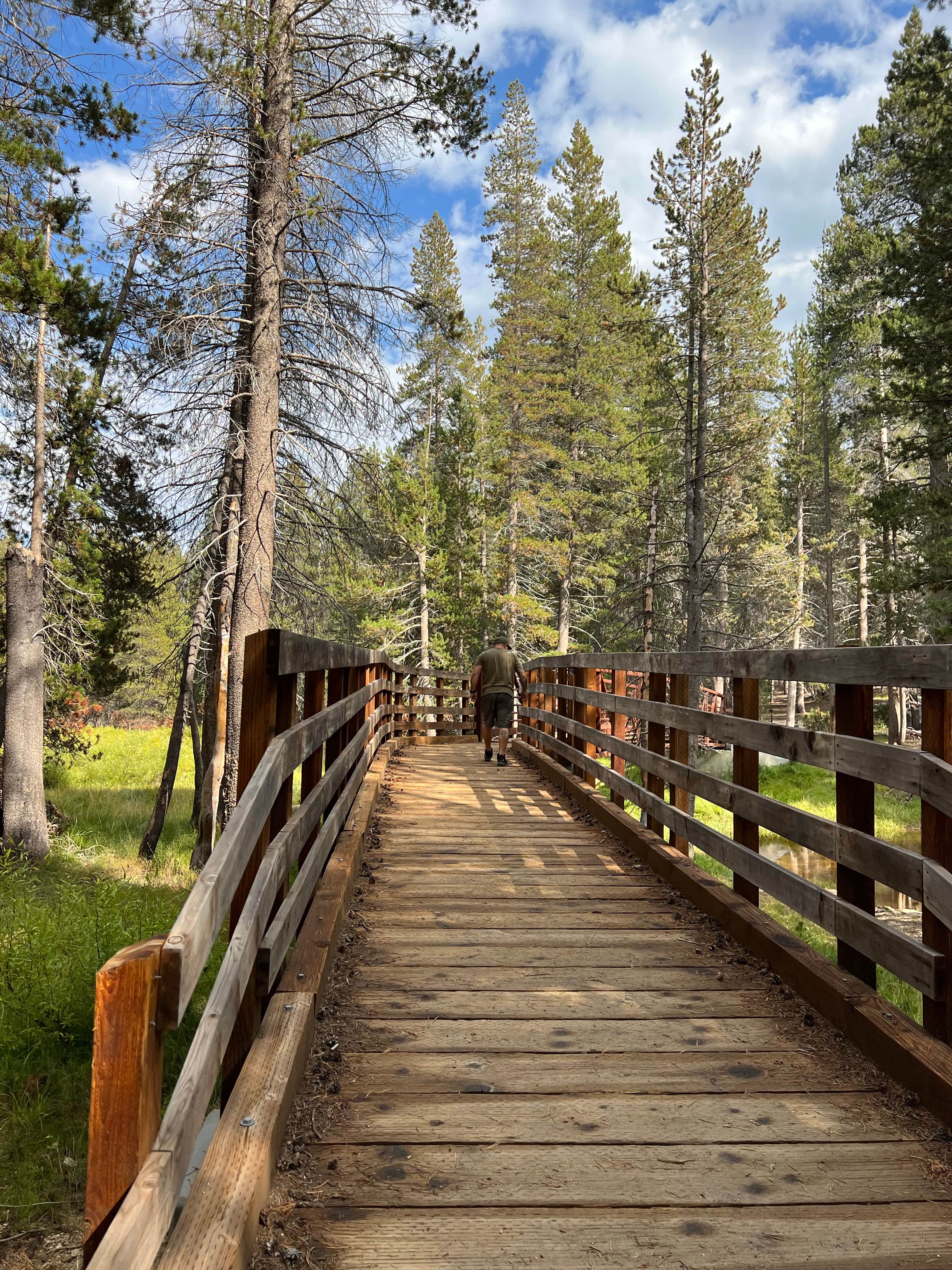 Camper submitted image from Big Meadow Campground - Us Forest Service Sequoia National Forest (CA) - 2